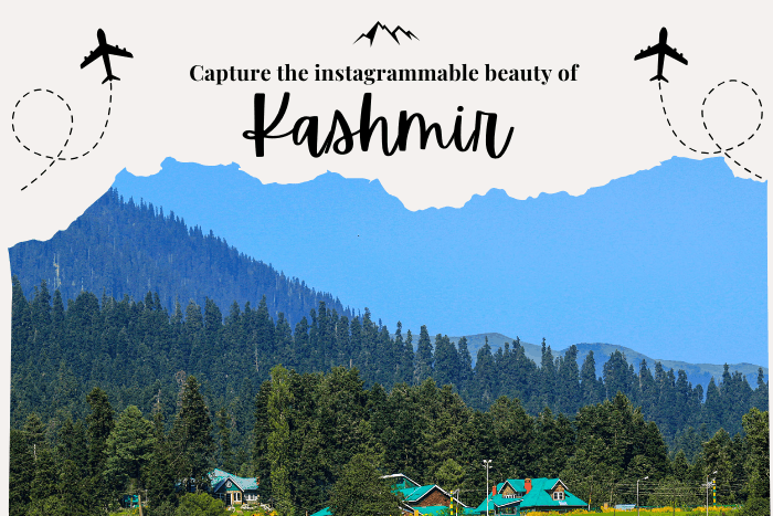 Kashmir Honeymoon Packages